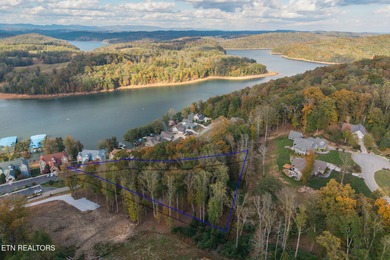 Premier Lake View Lot at Stardust Marina, Norris Lake Discover - photo 8