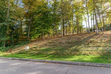 Premier Lake View Lot at Stardust Marina, Norris Lake Discover - photo 9