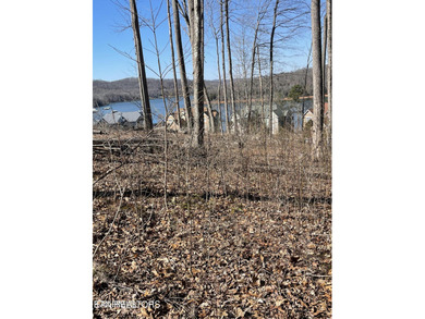 Premier Lake View Lot at Stardust Marina, Norris Lake Discover - photo 10