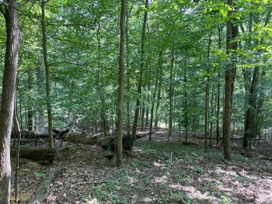 Lake of Four Seasons Lot Sale Pending in Sugar Grove Ohio