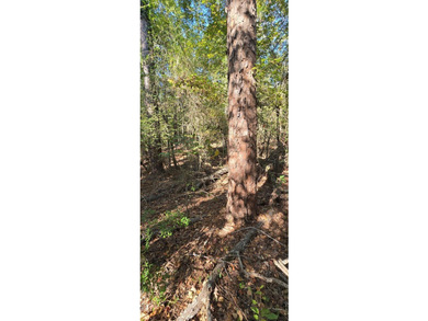 Prime waterview lot in Sutton Hills Section C! This rare 0 - photo 3