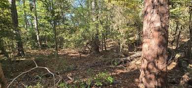 Prime waterview lot in Sutton Hills Section C! This rare 0 - photo 4