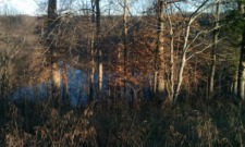 Premier Building Lot Overlooking Beautiful Dale Ho - photo 7