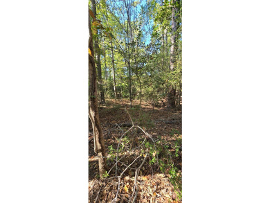 Prime waterview lot in Sutton Hills Section C! This rare 0 - photo 5