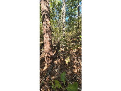 Prime waterview lot in Sutton Hills Section C! This rare 0 - photo 6