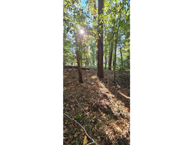 Prime waterview lot in Sutton Hills Section C! This rare 0 - photo 7