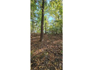 Prime waterview lot in Sutton Hills Section C! This rare 0 - photo 8