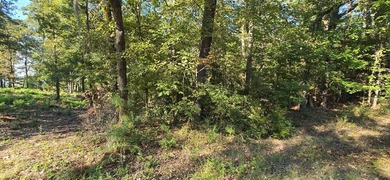 Prime waterview lot in Sutton Hills Section C! This rare 0 - photo 9