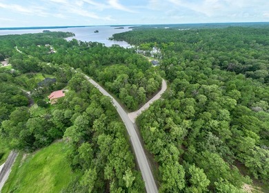 Lake Sam Rayburn  Lot For Sale in Brookeland Texas