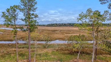 Lake Lot For Sale in Ravenel, South Carolina