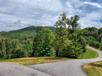 Lake Acreage For Sale in Blairsville, Georgia