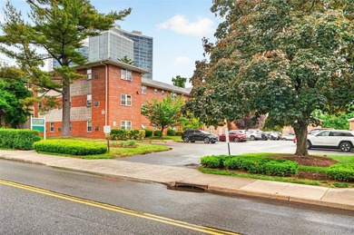 Here is your chance to own a well maintained 1 bedroom apartment - photo 2