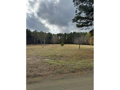 Toledo Bend Lake Acreage For Sale in Hemphill Texas
