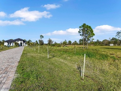 This stunning home epitomizes comfort, elegance, and modern - photo 5
