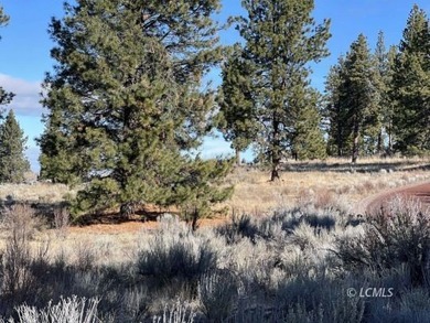 This is a wow parcel. 1 full Acre with exceptional lake views - photo 9