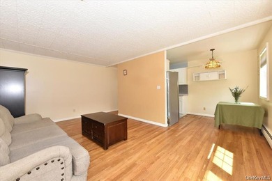 Welcome To 295 Merrick Road, Unit 4A ! This Maintenance Free - photo 6