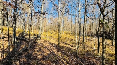 The Crown Jewel of Rough River! Call Josh! - photo 7