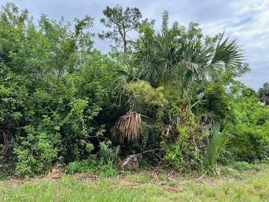 Lehigh Acres Area Lot For Sale in Lehigh Acres Florida