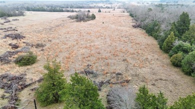 Lake Acreage For Sale in Ben Wheeler, Texas