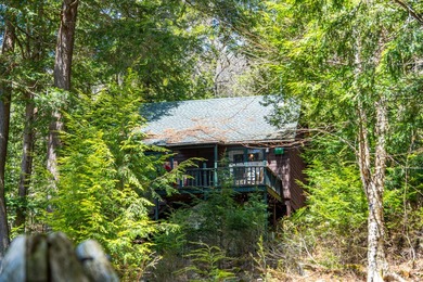 Nestled among towering pines on the shores of Buck Island on - photo 6