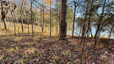The Crown Jewel of Rough River! Call Josh! - photo 5