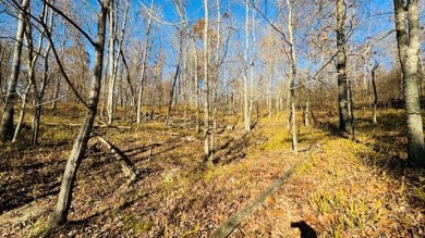 The Crown Jewel of Rough River! Call Josh! - photo 9