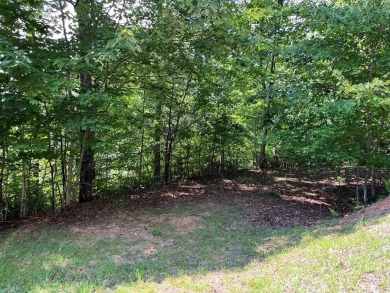 Lake Chatuge Acreage For Sale in Hayesville North Carolina