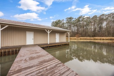 Guntersville Lake Home with Boathouse - photo 22
