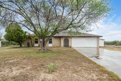 Lake Amistad Home For Sale in Del Rio Texas