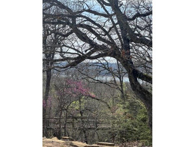 Looking to build a Lake house or forever home, these 2 lots have - photo 3