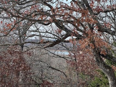 Looking to build a Lake house or forever home, these 2 lots have - photo 4