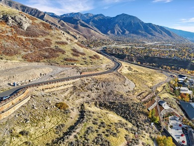 LAND MAY BE PURCHASED SEPARATELY FOR ANY BUILDER -- SEE MLS - photo 12