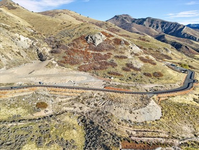 LAND MAY BE PURCHASED SEPARATELY FOR ANY BUILDER -- SEE MLS - photo 13