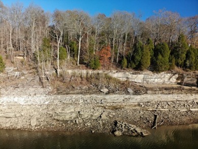 The Crown Jewel of Rough River! Call Josh! - photo 10