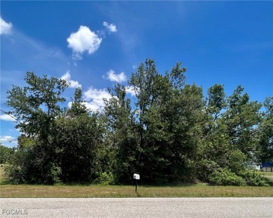 Port Charlotte Waterway Area Lot For Sale in Port Charlotte Florida