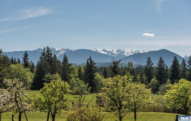 Welcome to a truly exceptional Olympic Peninsula custom built - photo 38