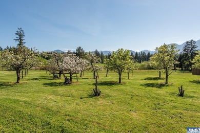 Welcome to a truly exceptional Olympic Peninsula custom built - photo 45