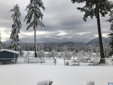 Welcome to a truly exceptional Olympic Peninsula custom built - photo 47