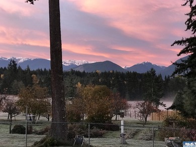 Welcome to a truly exceptional Olympic Peninsula custom built - photo 48