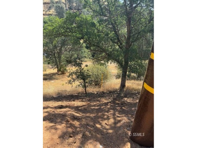 Lake Isabella Lot For Sale in Wofford Heights California