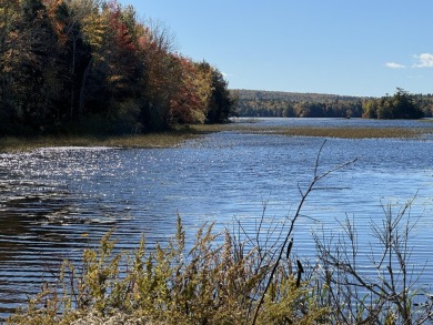 Sandy Pond - Waldo County Lot For Sale in Freedom Maine