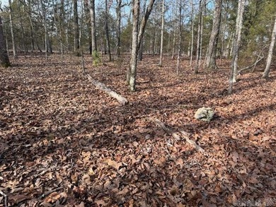Private 7-acre tract located on a quiet county road that - photo 3