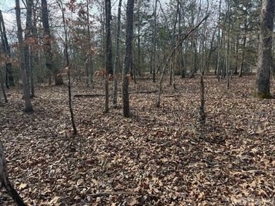 Private 7-acre tract located on a quiet county road that - photo 4
