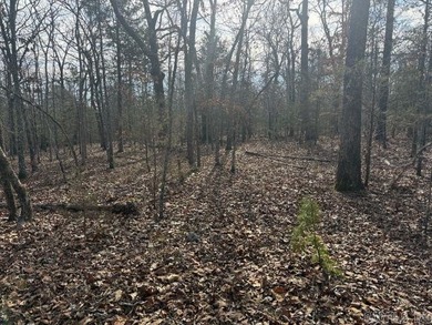 Private 7-acre tract located on a quiet county road that - photo 5