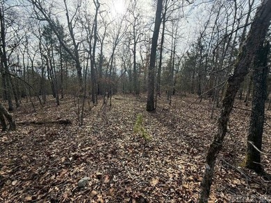 Private 7-acre tract located on a quiet county road that - photo 7