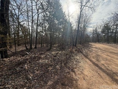 Private 7-acre tract located on a quiet county road that - photo 8
