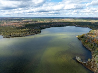 TURTLE LAKE / OTSEGO COUNTY, MI 1,408.88 Acres, 170+/- Acre - photo 4