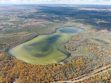 TURTLE LAKE / OTSEGO COUNTY, MI 1,408.88 Acres, 170+/- Acre - photo 5