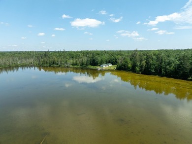 TURTLE LAKE / OTSEGO COUNTY, MI 1,408.88 Acres, 170+/- Acre - photo 9