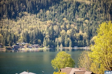 A rare opportunity to own a true slice of paradise on Lake - photo 50